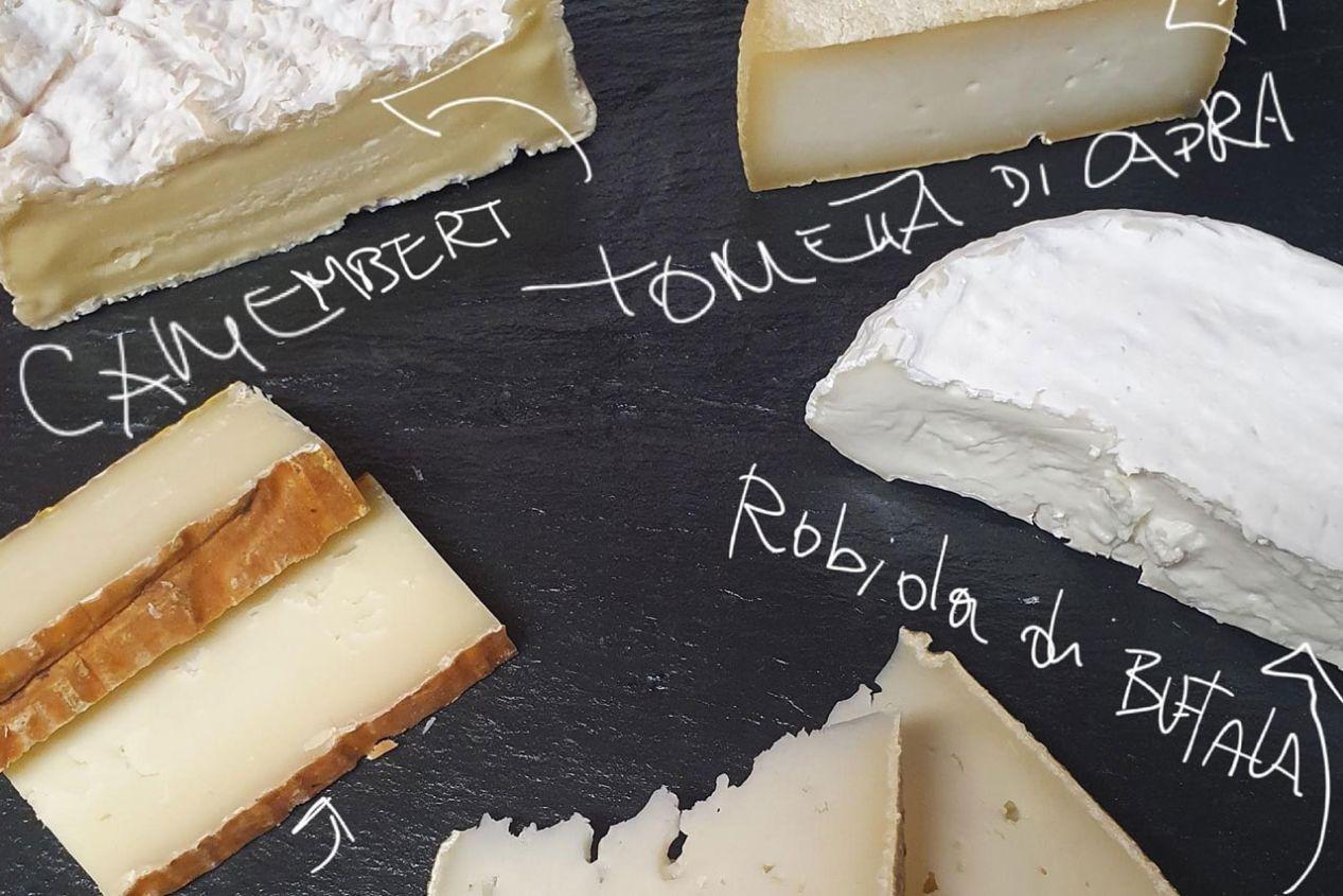 ENOTECA FACCIOLI